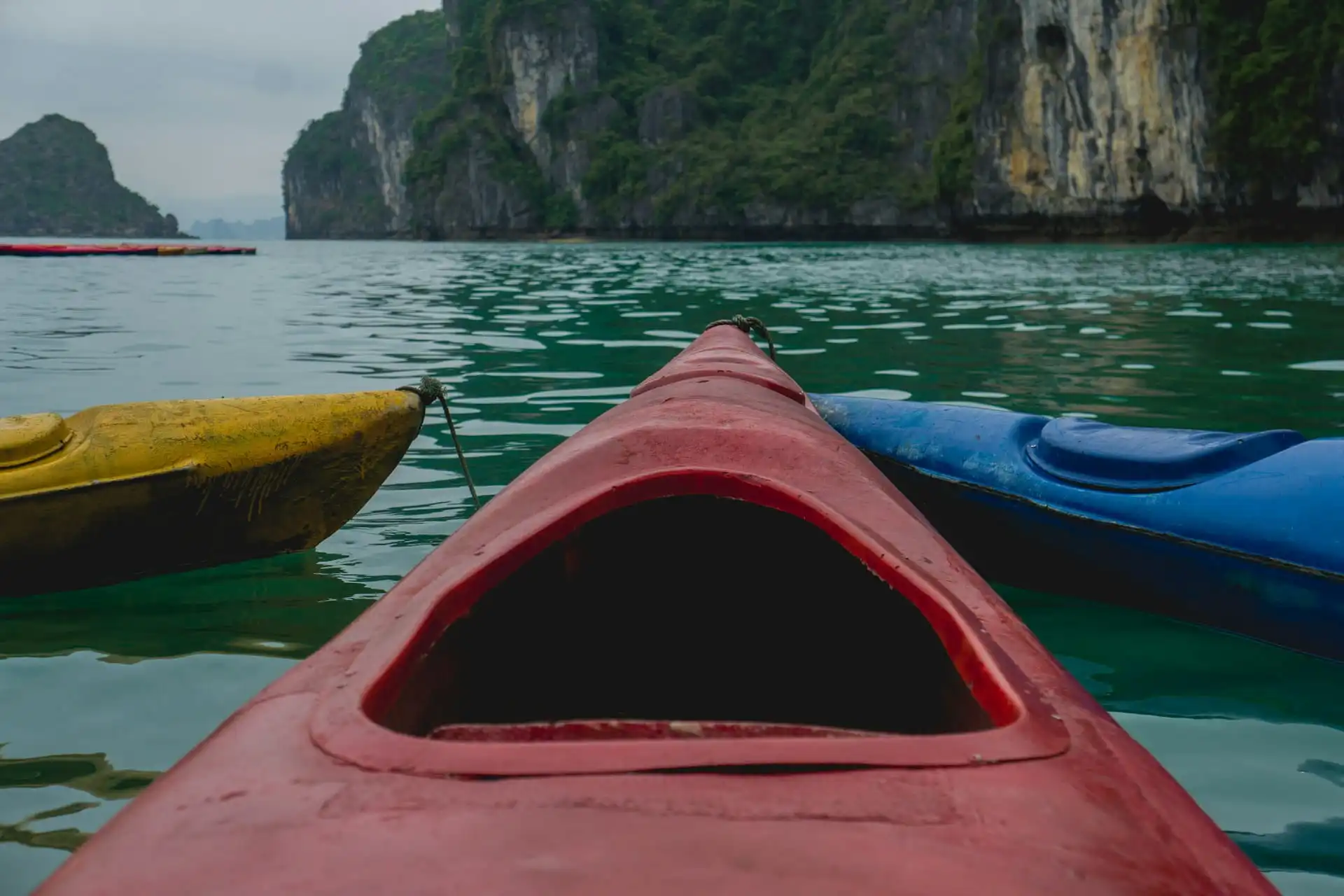 kayaks moored in a lake