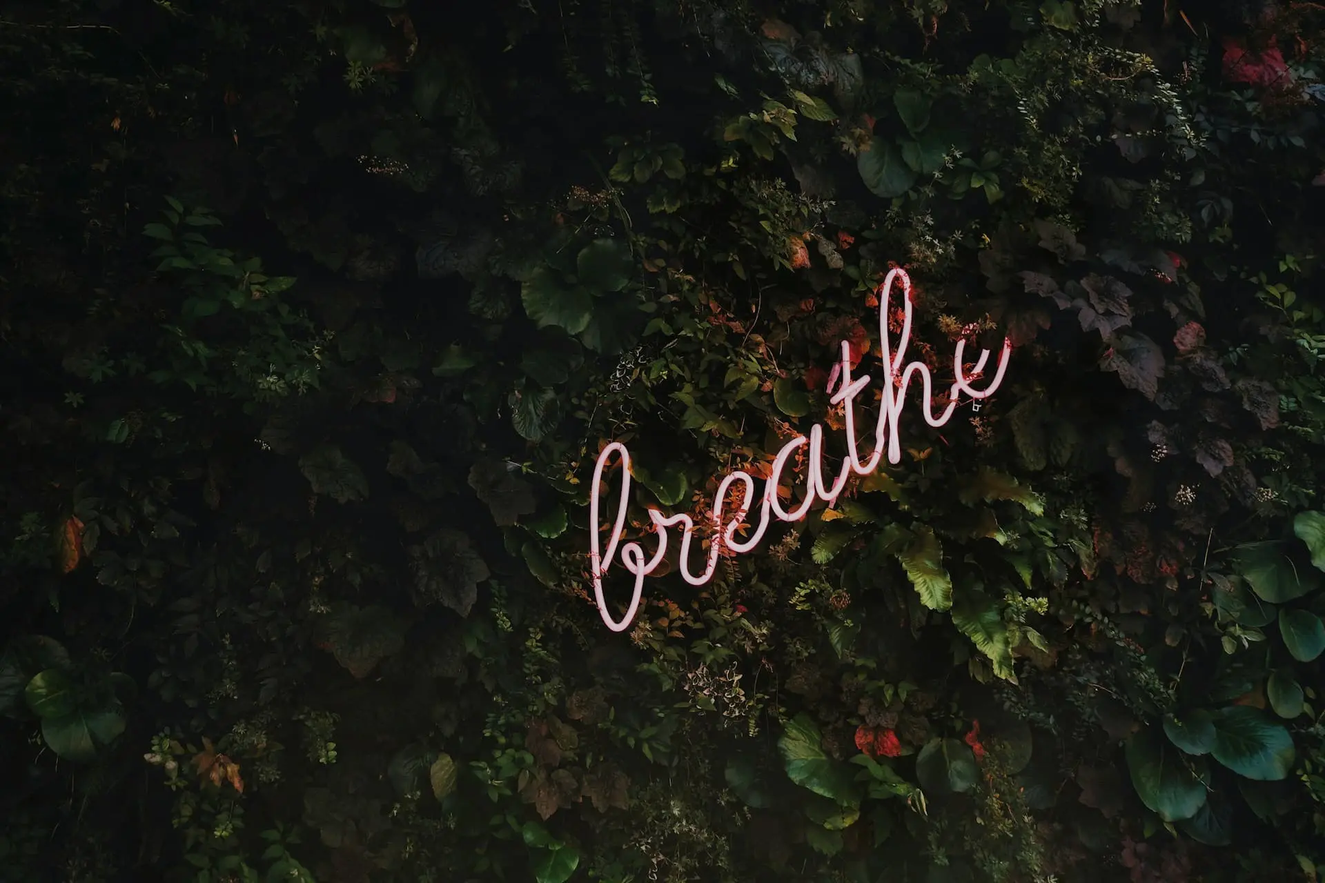 a background with leaves and a neon sign with the word breathe